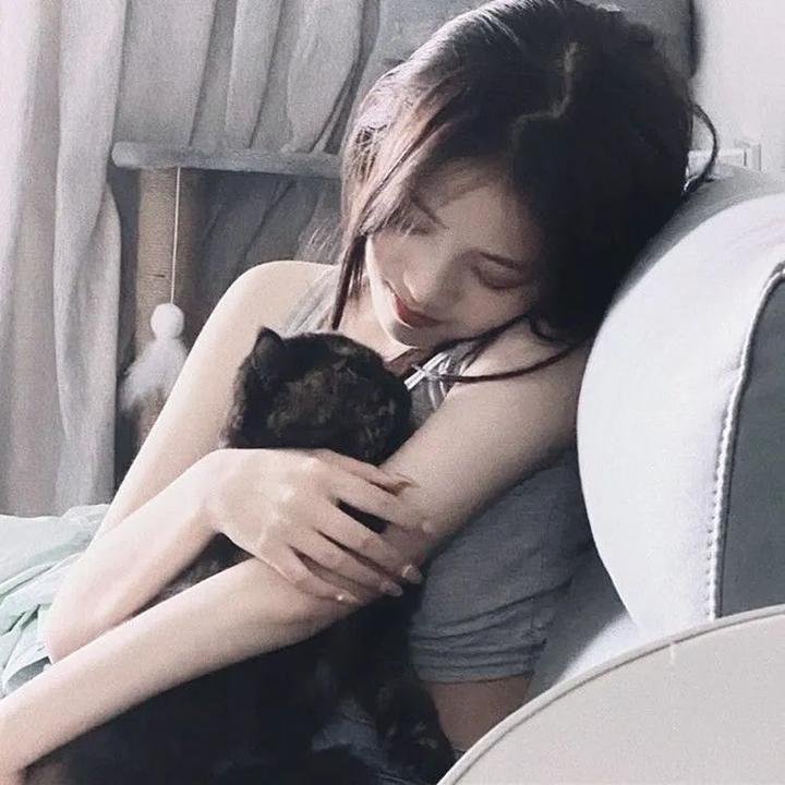 寻找斯蒂夫·麦昆